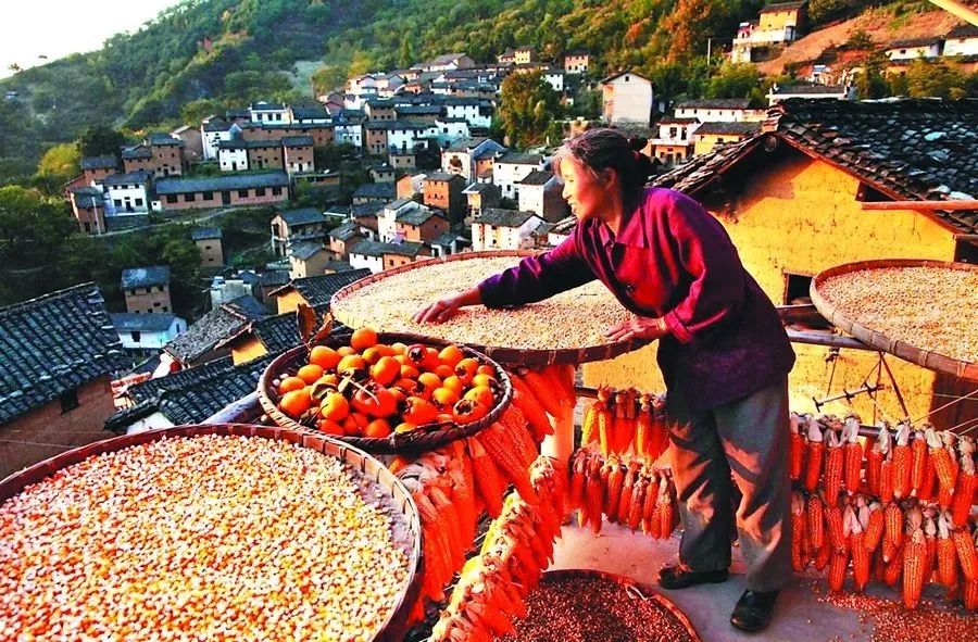 看图猜成语煮沸水农民晒谷_看图猜成语