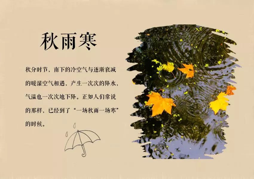 冷秋简谱_儿歌简谱(2)