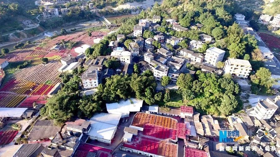 达埔各村人口_中国单身人口达2.4亿