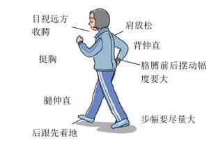 怎么运动长寿 731215ff8bdd4ed581b501645c3a7314.jpeg