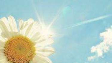 啥是微生态 7afbebd74717494686d1b664793bb179.jpeg