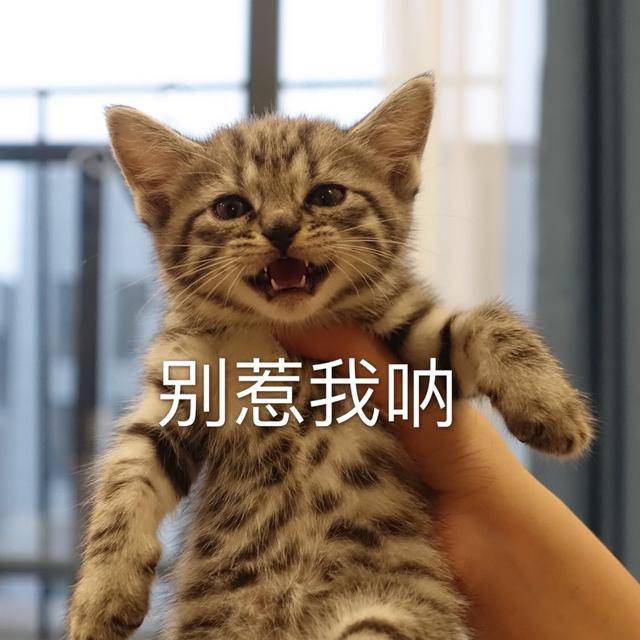 7fc3a5dd191f4fa5bbca1eb3deb5ab33.jpeg