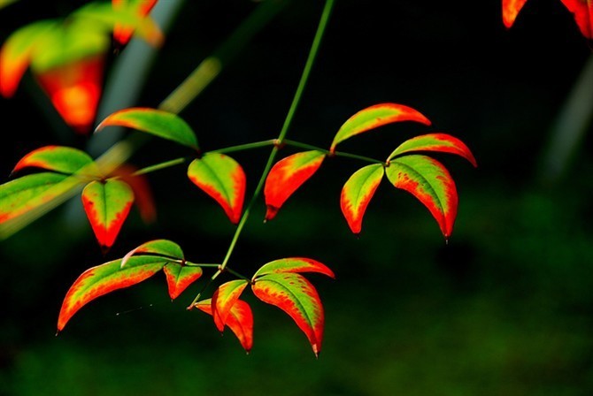 夏天又回来了?最高29℃、30℃,郑州这种天气要维持一周 夏天又回来了?最高29℃、30℃,郑州这种天气要维持一周
