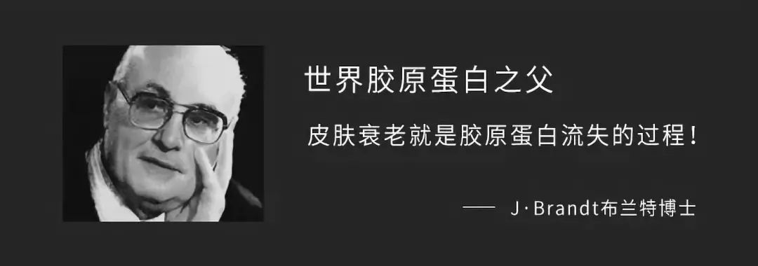 绍兴包装新闻纸_金庆纸业批发_采购管理咨询_生产企业