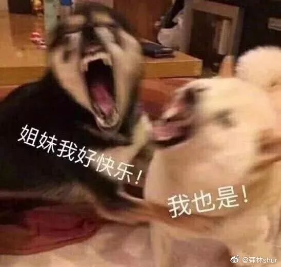 没有最沙雕,只有更沙雕!_李孟寅