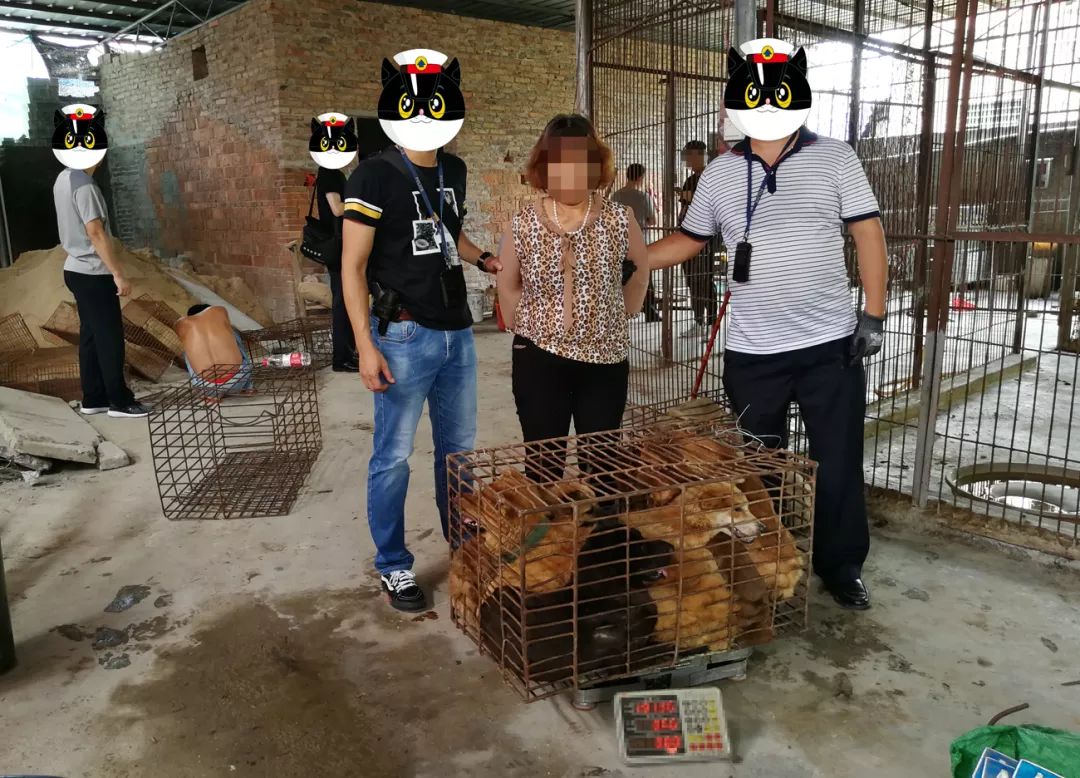 被警方抓到,羞死了!】