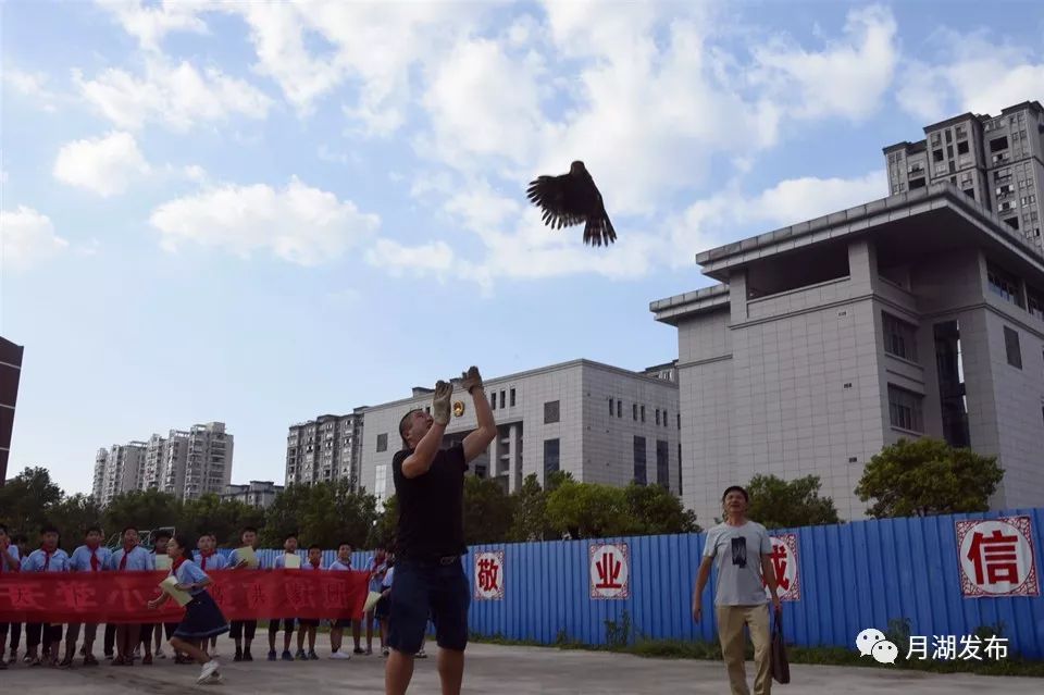 鹰潭职业技术学院人口_鹰潭职业技术学院(3)