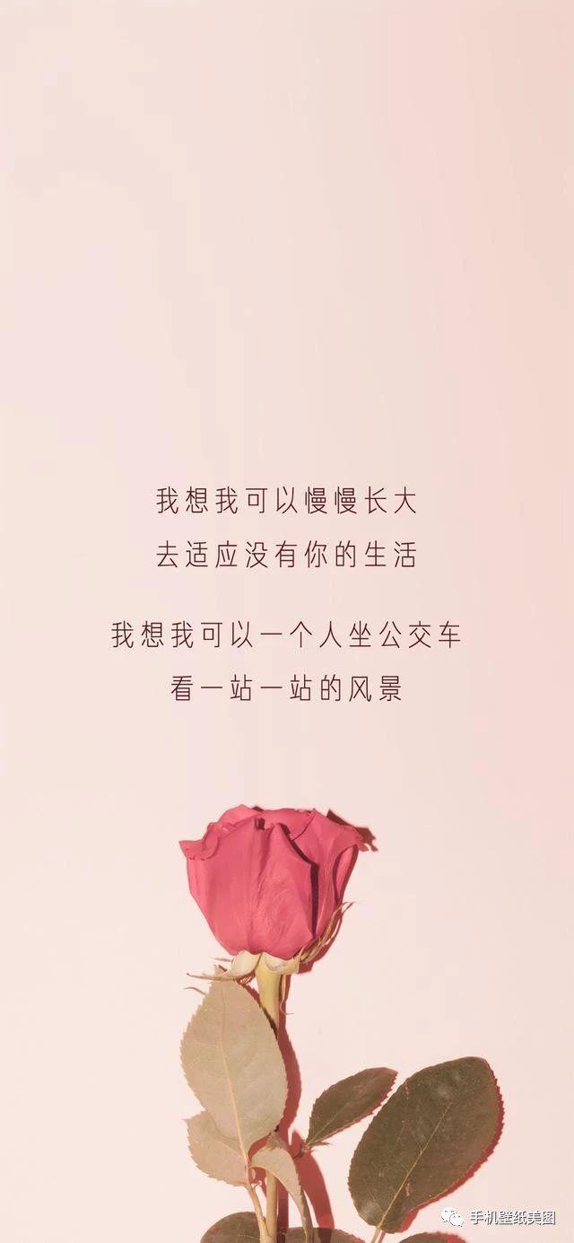 好看的聊天背景图,微信聊天壁纸,2019抖音壁纸最近很火的聊天背景