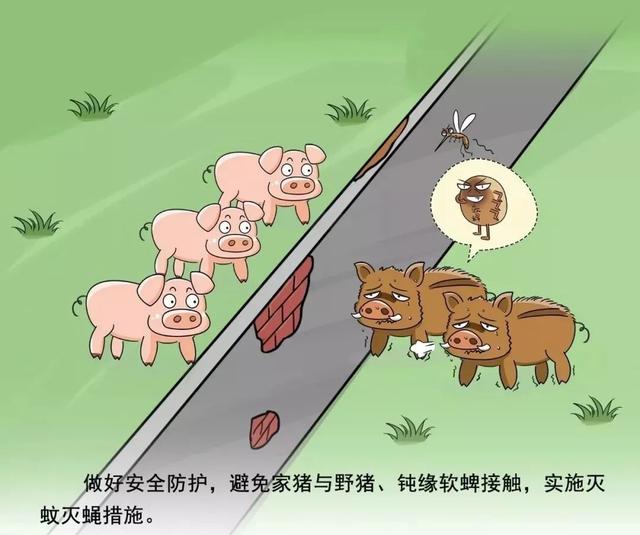 现在是什么流行病 905421cfceb04542b40b72dfe0cf57c2.jpeg