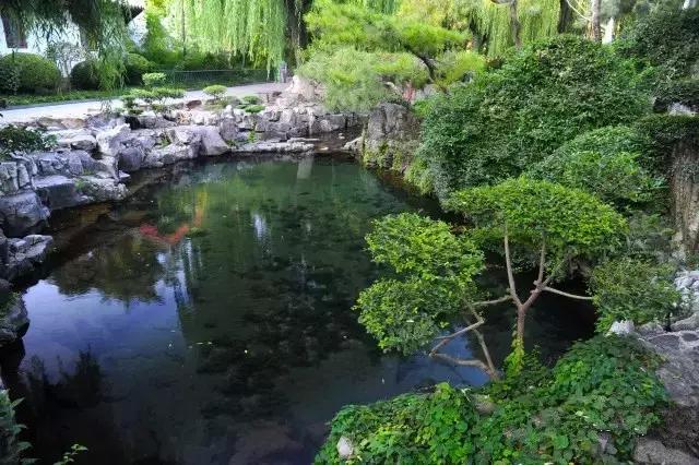 济南饮马泉,马跑泉:双"马"饮泉傲泉城