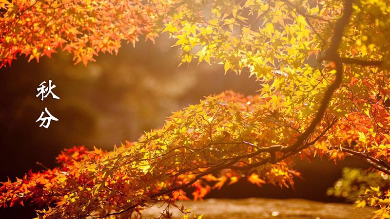 多什么什么秋成语_成语故事简笔画(3)