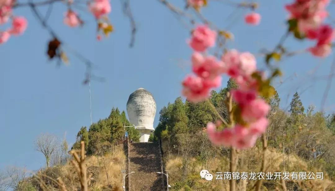 带你漫步云南大姚,走进美景