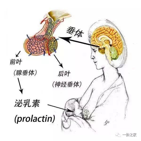 9fc6817967b64403a0068ddaf7dd432b.jpeg