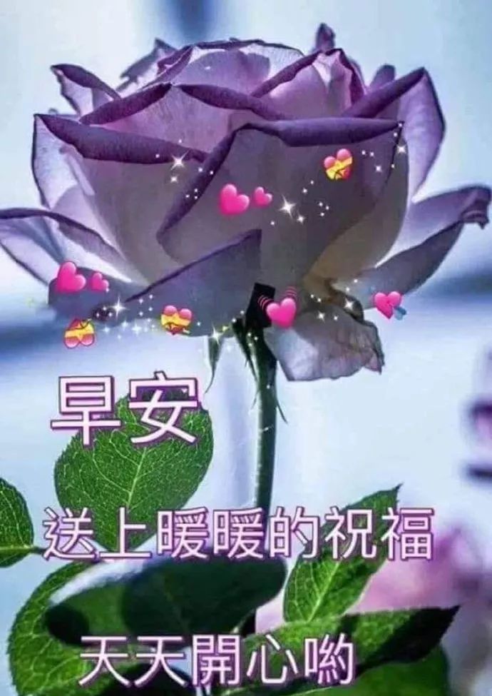 最温暖的早上好祝福语鲜花动态图片 ,早上好的祝福温馨