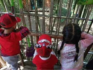 恐龙图片猜成语_恐龙简笔画