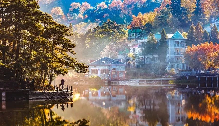 人人都说 庐山最美的季节是秋季 万山红遍,枫叶流丹,桂子飘香 美得像