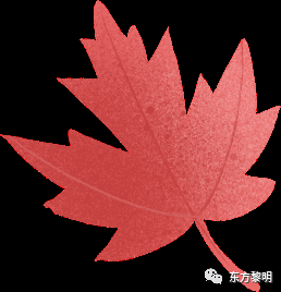 b6f86d703b3e4f30ae2ac7131ad9ea41.png