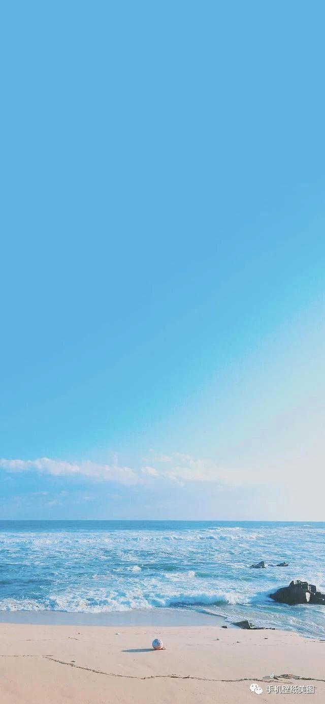 2019ֽа,ȫֽ