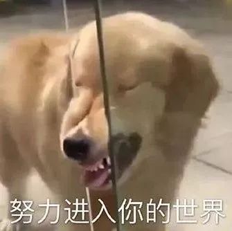 《教程党虽然可耻但真的好用》标题步一一图解步二阶魔方图片