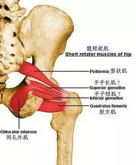 左大腿外侧疼痛怎么办