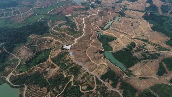 江华瑶族自治县各年gdp_动人心魄六十载 瑶城江华新崛起(2)