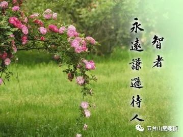 e46c7dfb0fac426db6a7152fc7d545dc.jpeg