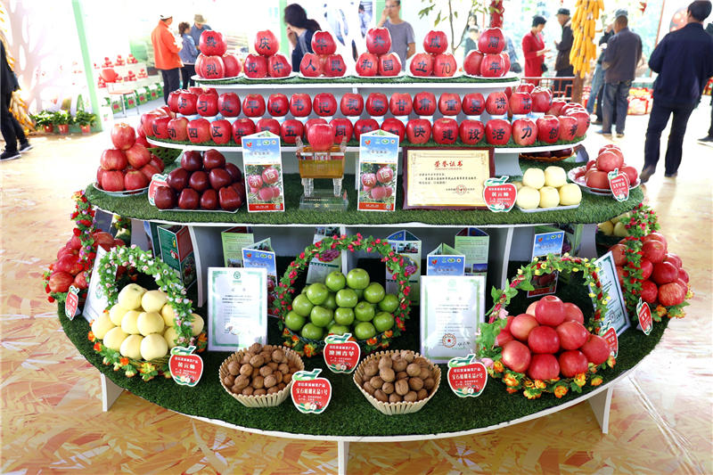 崇信县庆祝第二届中国农民丰收节暨2019年农产品展销会开幕