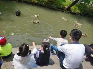 恐龙图片猜成语_恐龙简笔画