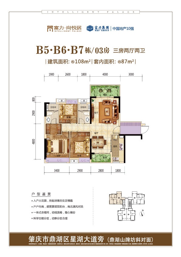 2019广东本地人口_广东本地生姜图片