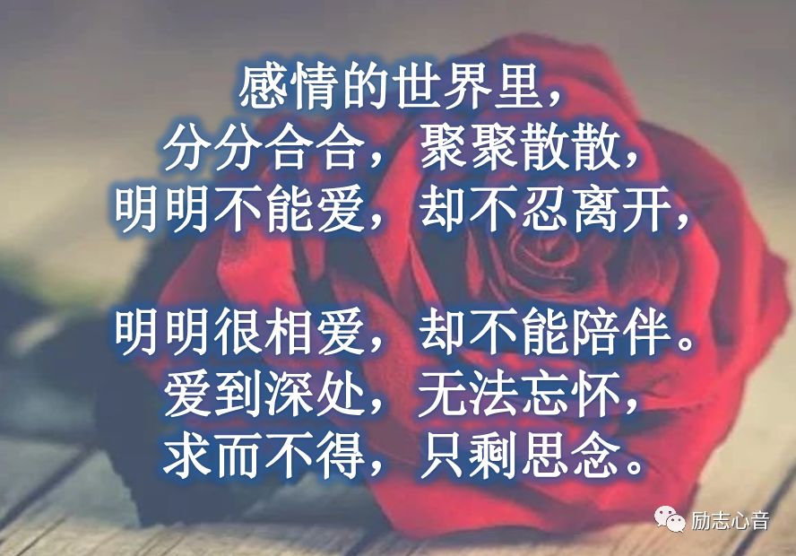 人口一增心牵挂 打一字_一曲 牵挂 听一次醉一次,太入心了,送给我牵挂的人