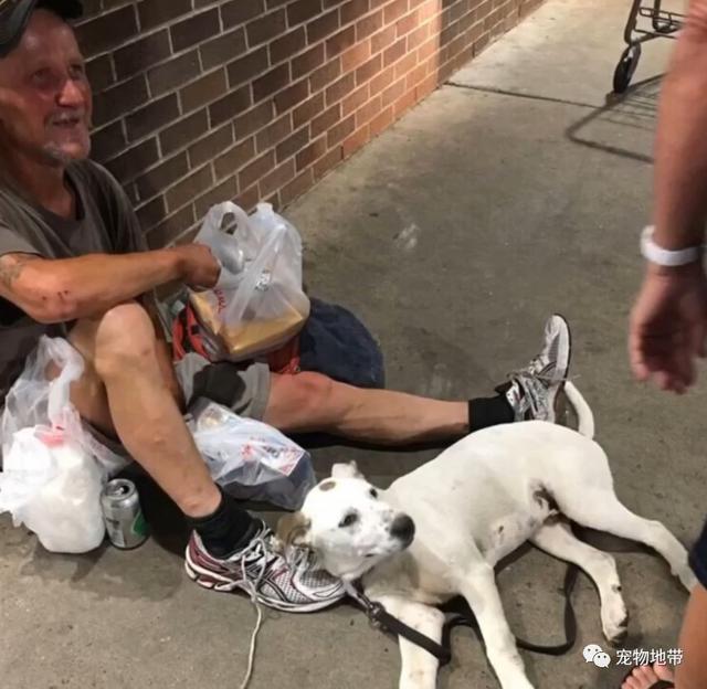 從藝術家變成流浪漢愛犬又走失 好生絕望 與狗狗重逢時刻場面感人 寵物 第1張