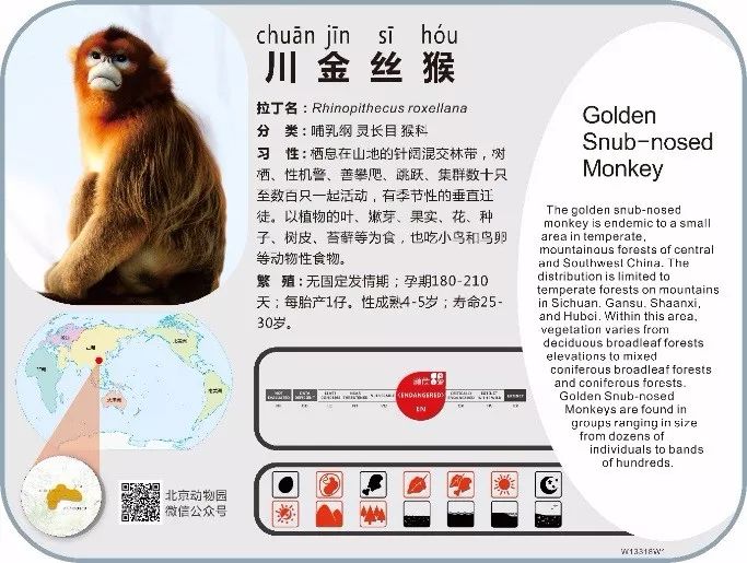 新版动物名片 北京动物园动物说明牌上新了!