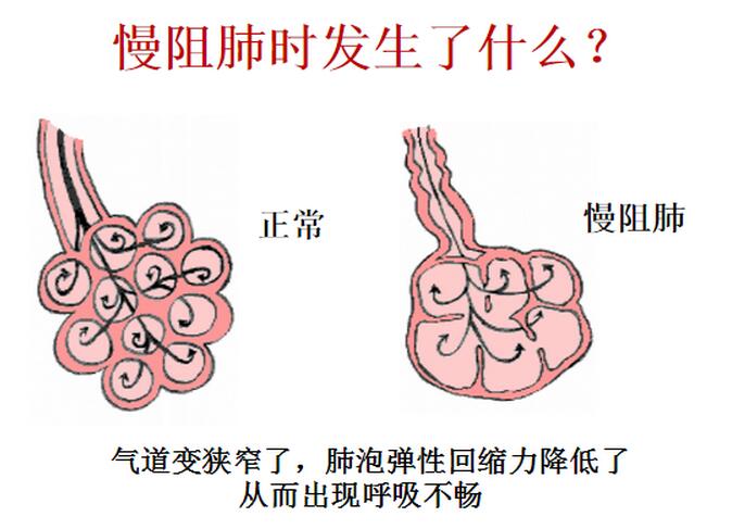 西安关中农村白事秦腔曲谱柳青娘(2)