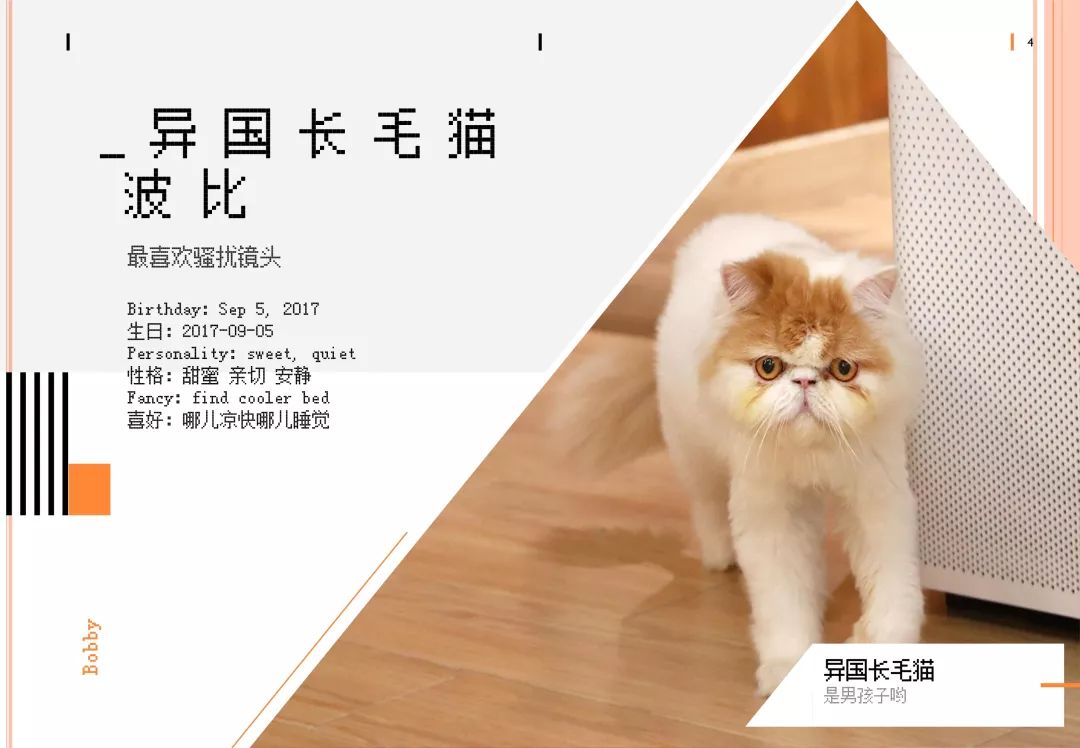 吸猫神器推荐 0c7b1dd0cd914ef7b4bbbced71897593.jpeg