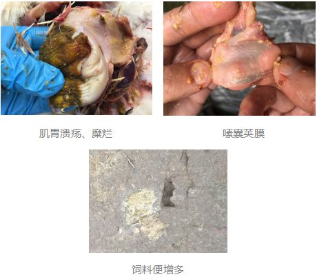 怎样才能把肉里的盐排出 0ebfaedb40d140b3adef5fbc5cf640df.jpeg