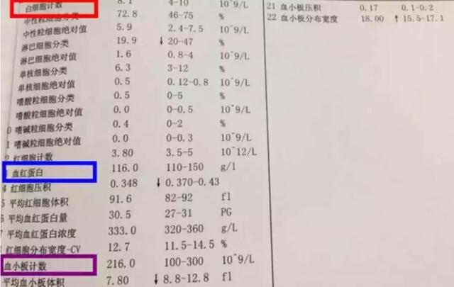 10b47508ed2245a48185973db519383f.jpeg