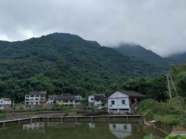 赤水gdp_贵州森林覆盖率最高的一座城市,被誉为 桫椤王国(2)