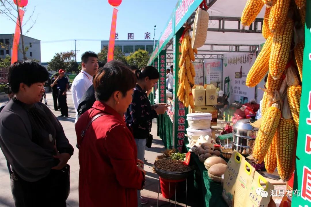 参加了中国金丝绞瓜暨泗县特色农产品产业发展高峰论坛和泗县山芋产业