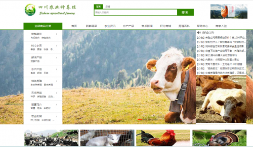 四川农业种养殖入驻“互联网+”突破行业瓶颈