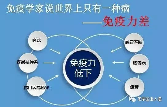 全球免疫力 31d3be31a6dc4f3aa8aa68c2b28baa7a.jpeg