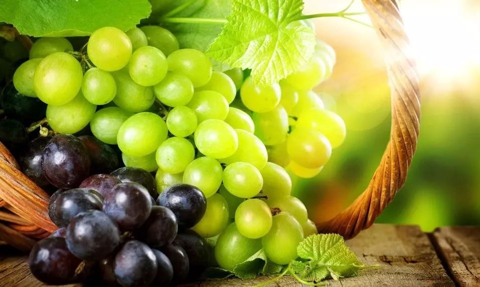 音频版《子宫情事》| 第73回:有端之祸起萧墙