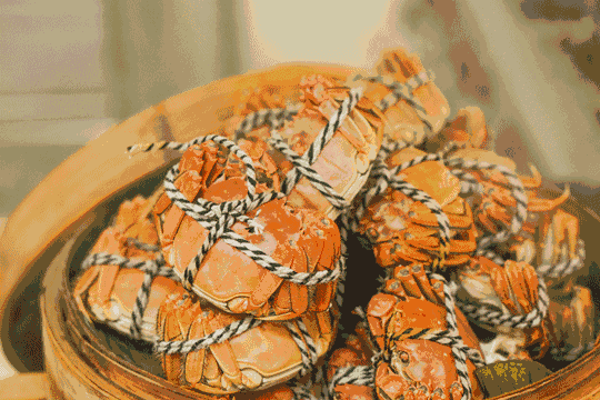 34c624118d4b45b6a48b519ead044761.gif