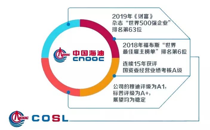 中海油 招聘_中国海油2030年天然气占比将达50(3)