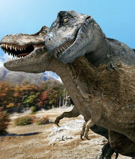 恐龙是如何交配延续后代的?困扰了生物学家好