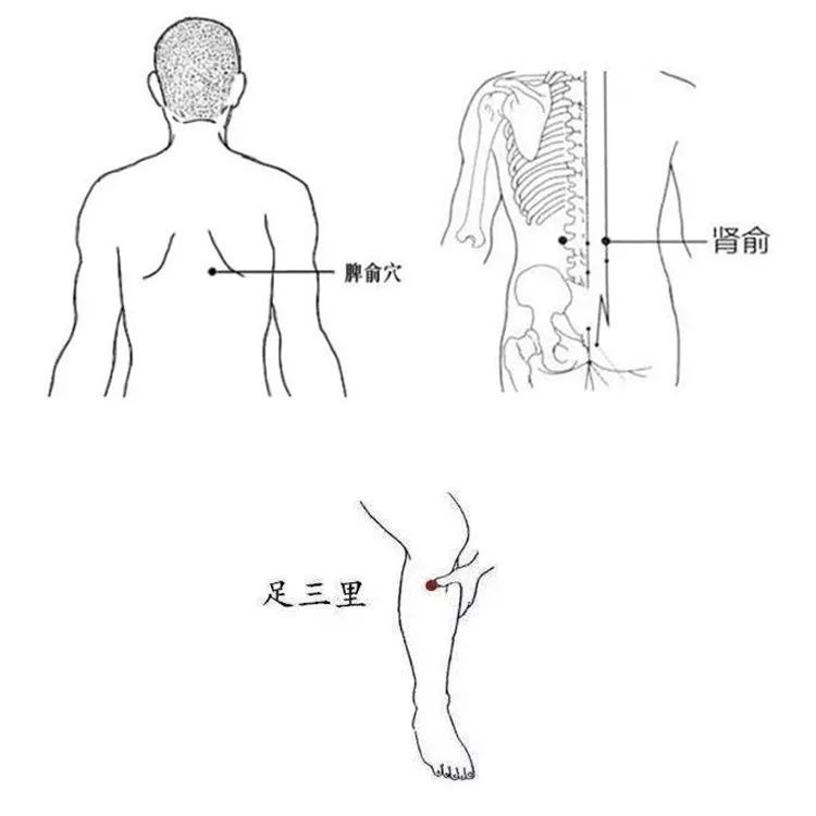 生长贴选择肾俞,脾腧,足三里等穴位贴敷,用于治疗小儿生长发育迟缓