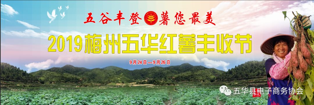 盛会预告 ▏五谷丰登,薯您最美 2019年五华红薯丰收节