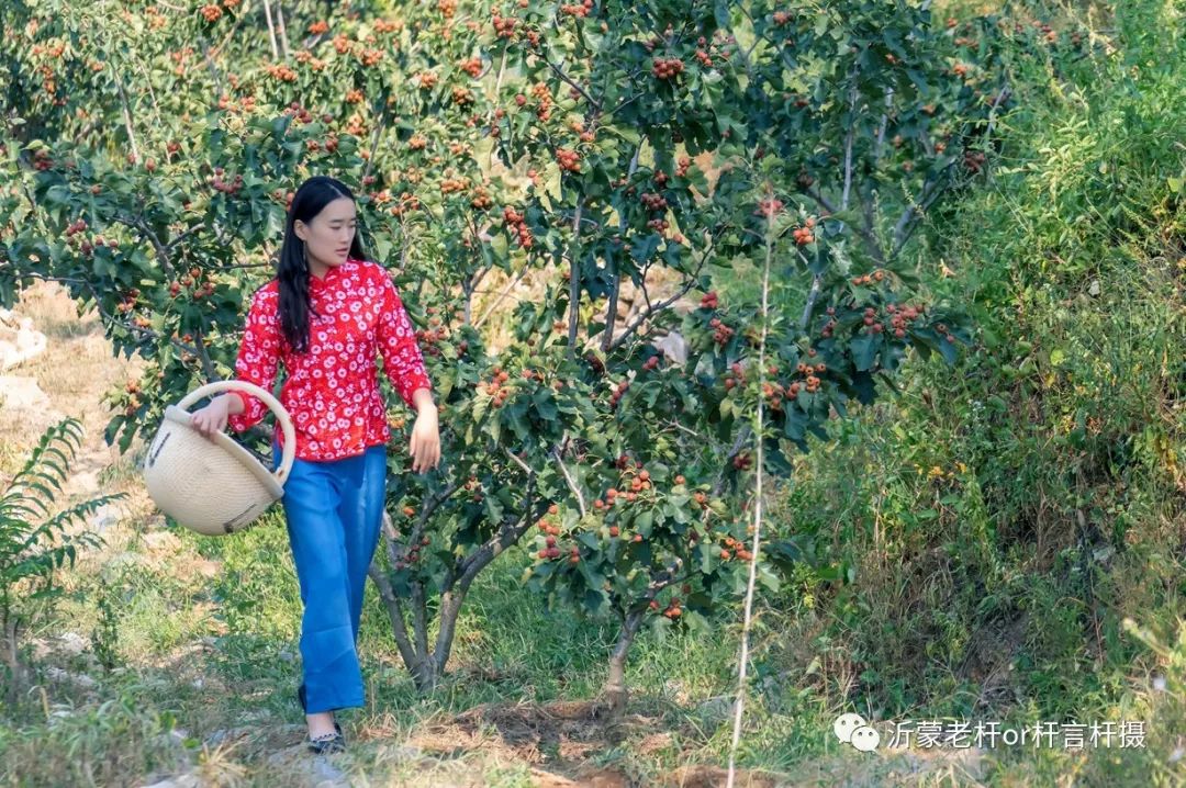 女孩山里红的最炫蒙山丰收节另类走秀火爆全场大山深处有美女呀女孩