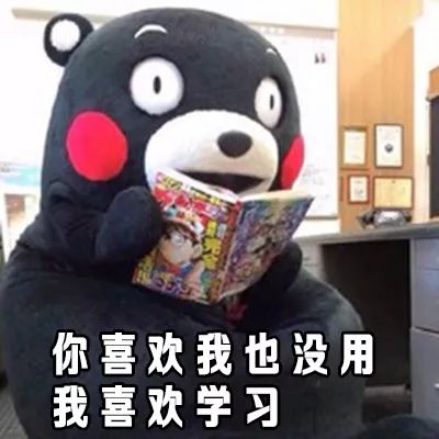 484b35a9d18c4ae3a75de752ab2302a5.jpeg