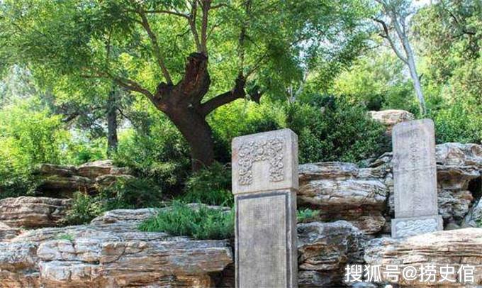 光绪年北京景山崇祯帝上吊真歪脖树，1971年被毁1981年栽了棵假的_手机 ...