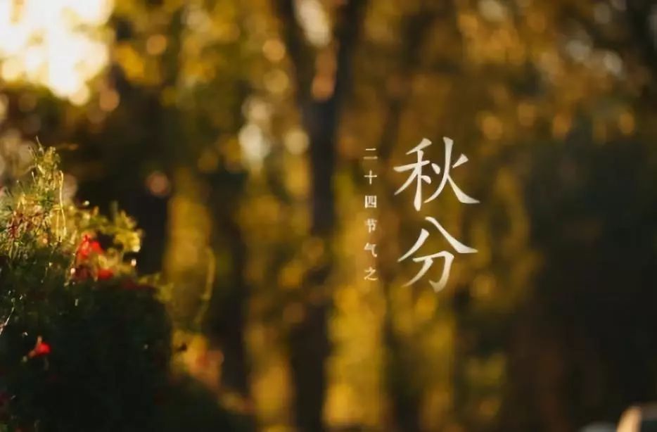 【二十四节气】秋分秋雨,昼夜平分